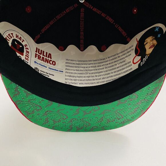 Chicago Bulls Artist Hat Series SGA 2023/24 JULIA FRANCO 3/18/24 Cap One Size - Picture 8 of 10